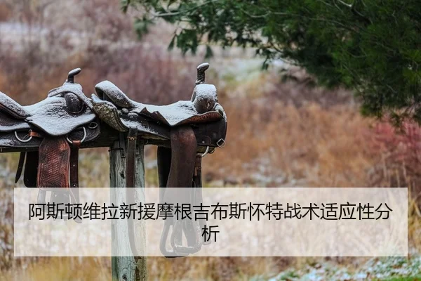阿斯顿维拉新援摩根吉布斯怀特战术适应性分析