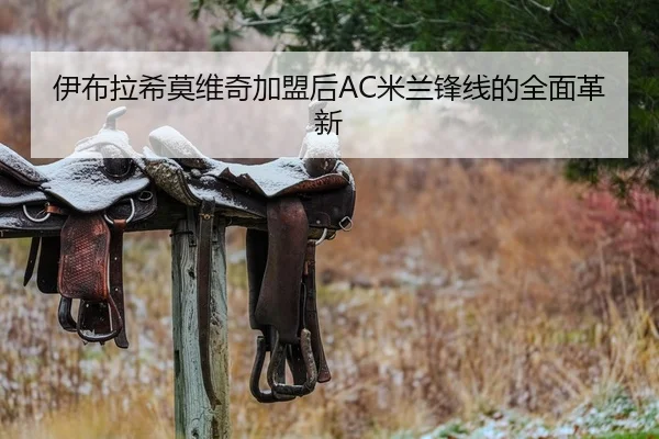 伊布拉希莫维奇加盟后AC米兰锋线的全面革新